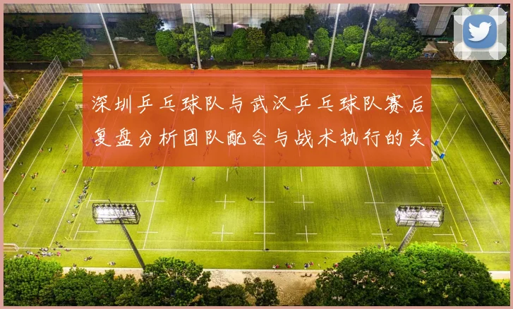 深圳乒乓球队与武汉乒乓球队赛后复盘分析团队配合与战术执行的关键因素